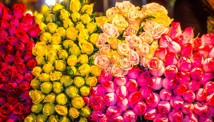 Let’s Know the Importance of Flowers in Vietnamese Culture