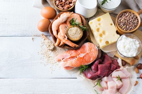 HOW A DAILY PROTEIN INTAKE CALCULATOR CAN HELP BODYBUILDERS?