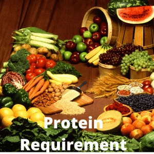 Protein Requirement