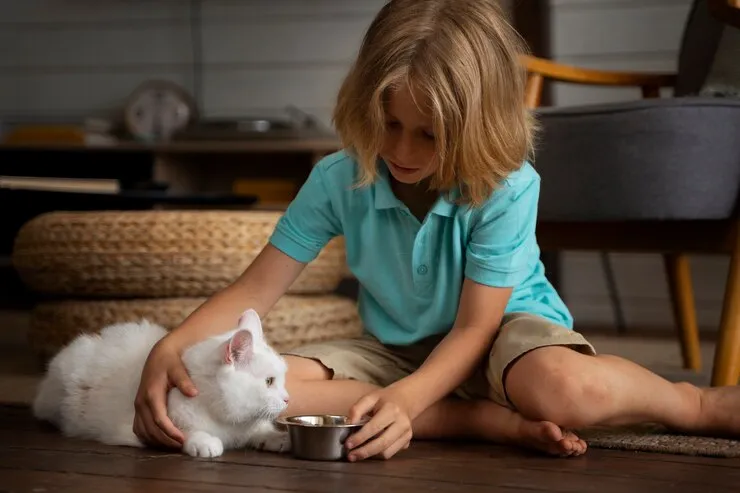 5 Steps to a Good Start in Cat Care for Newbies  