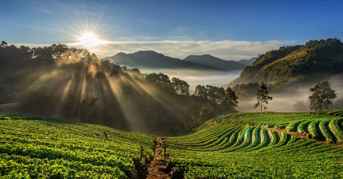 dream places to visit in India