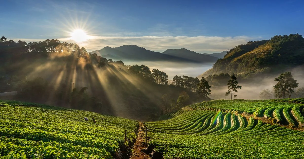 5 Dream Places To Visit In India: Don’t Miss It