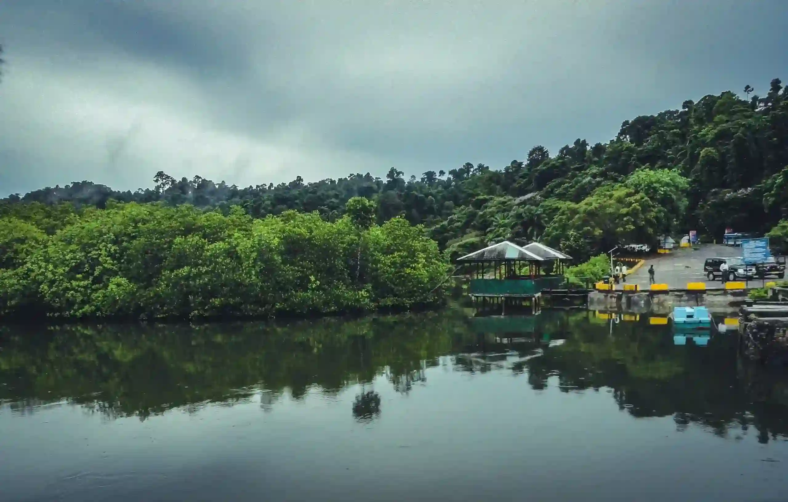 Rains, Hills, and Waterfalls: The Best Places to Visit in India During Monsoon 