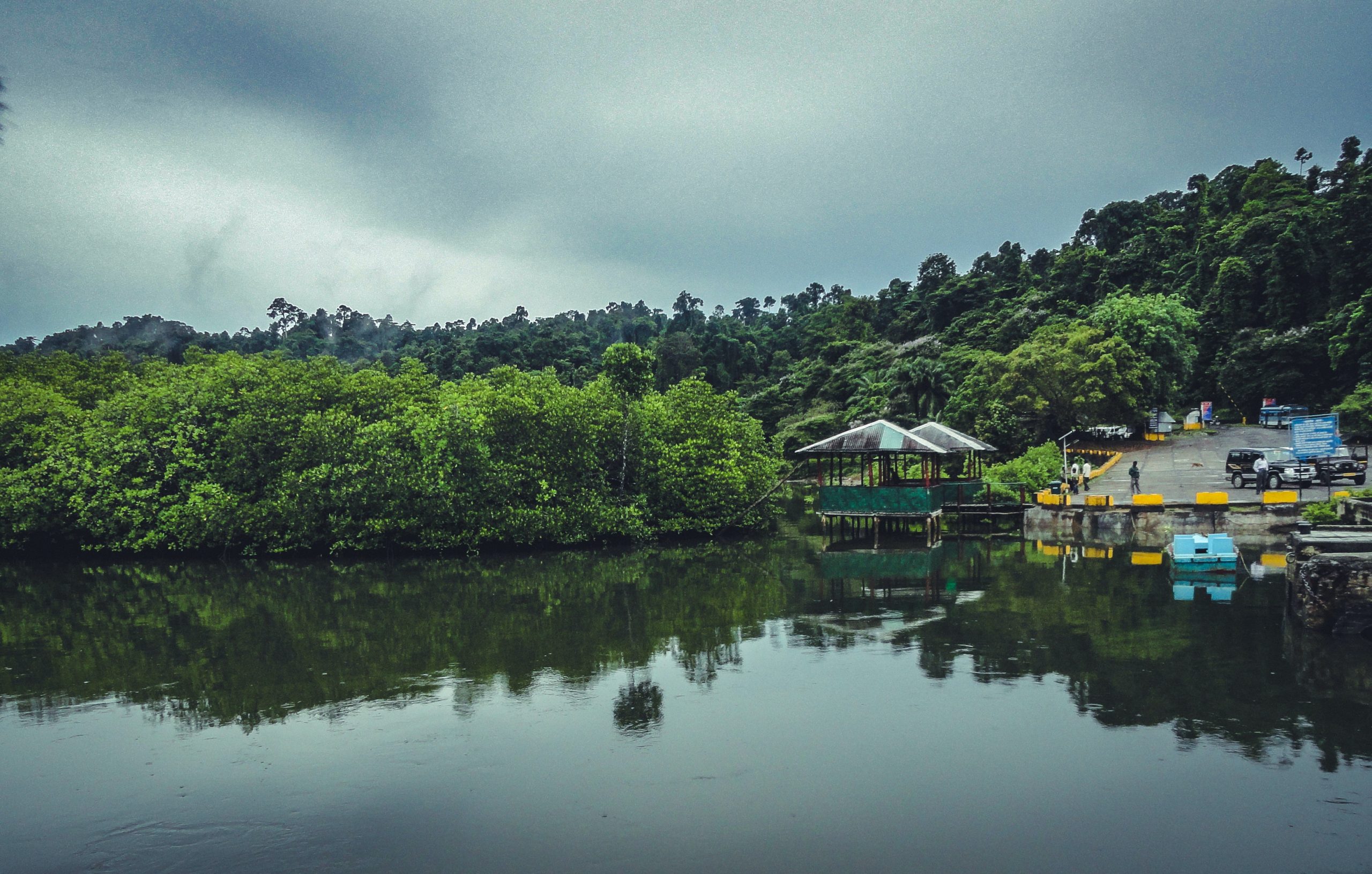 Rains, Hills, and Waterfalls: The Best Places to Visit in India During Monsoon 